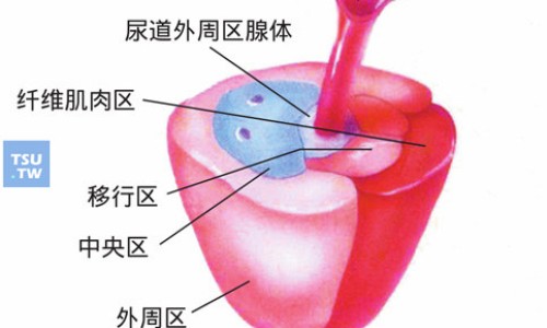 降血清脂胶囊网 - 血脂清降脂效果如何,降血清脂胶囊的功效