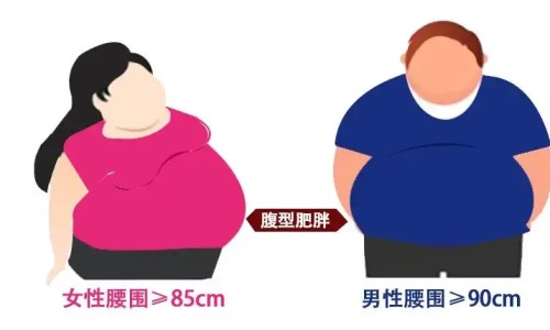 降血清脂胶囊说明书-降血清脂胶囊网 - 血脂清降脂效果如何,降血清脂胶囊的功效